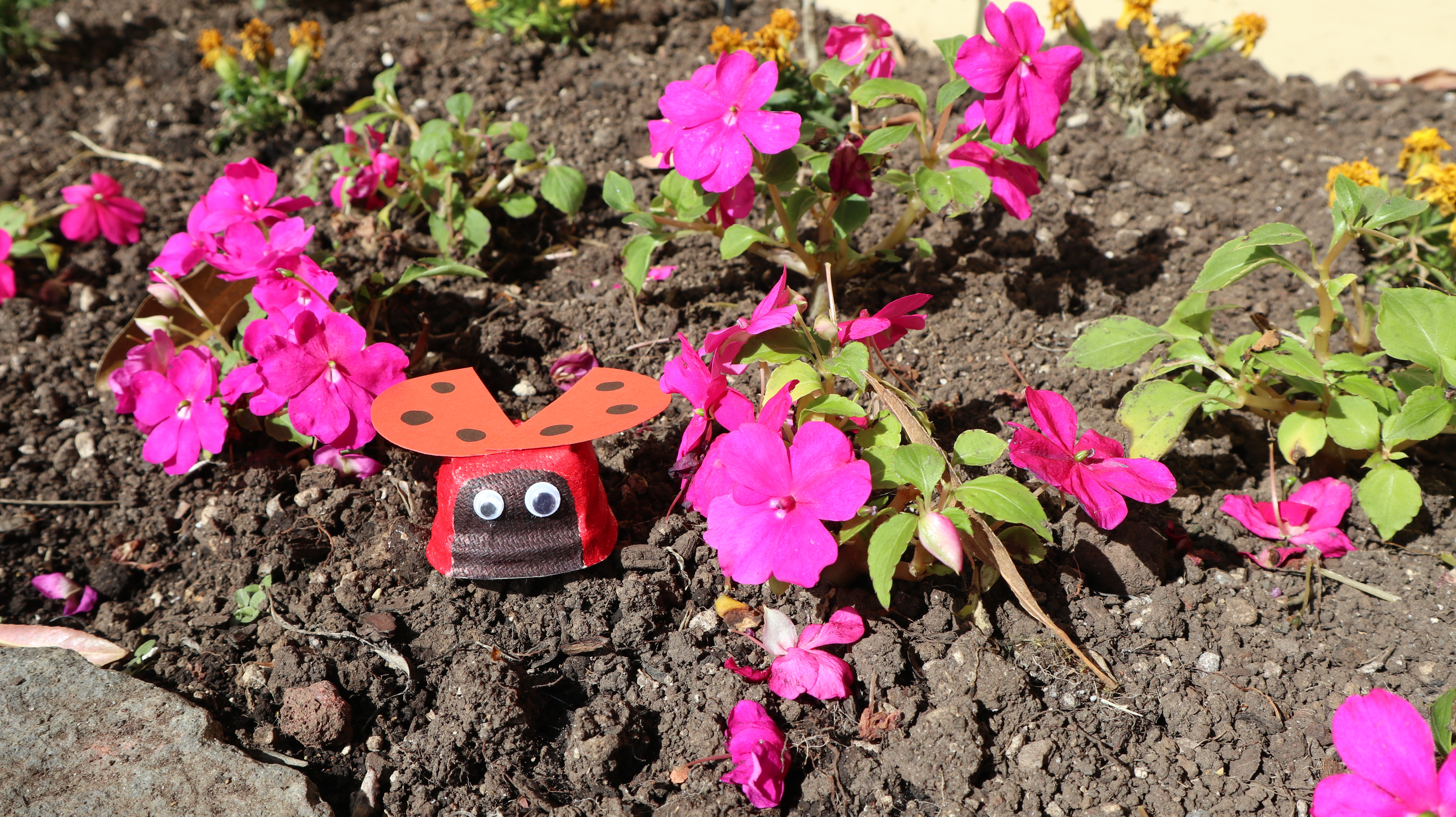 CraftCorner_EaggCarton_Ladybugs_2020-8.JPG#asset:2477