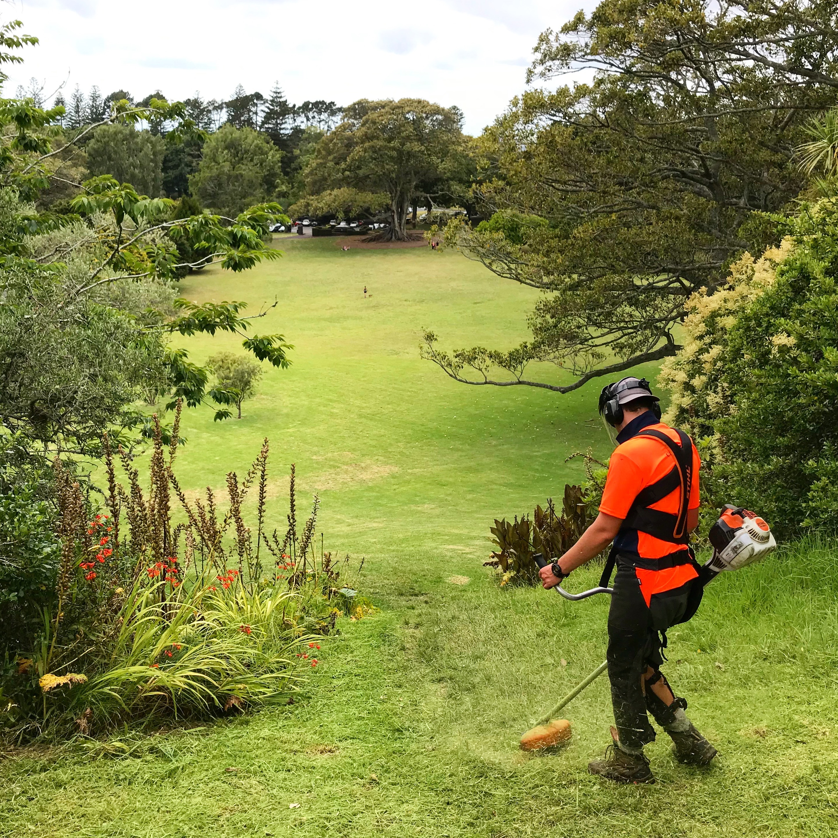 Josh_WeedEating_2019.JPG#asset:1920