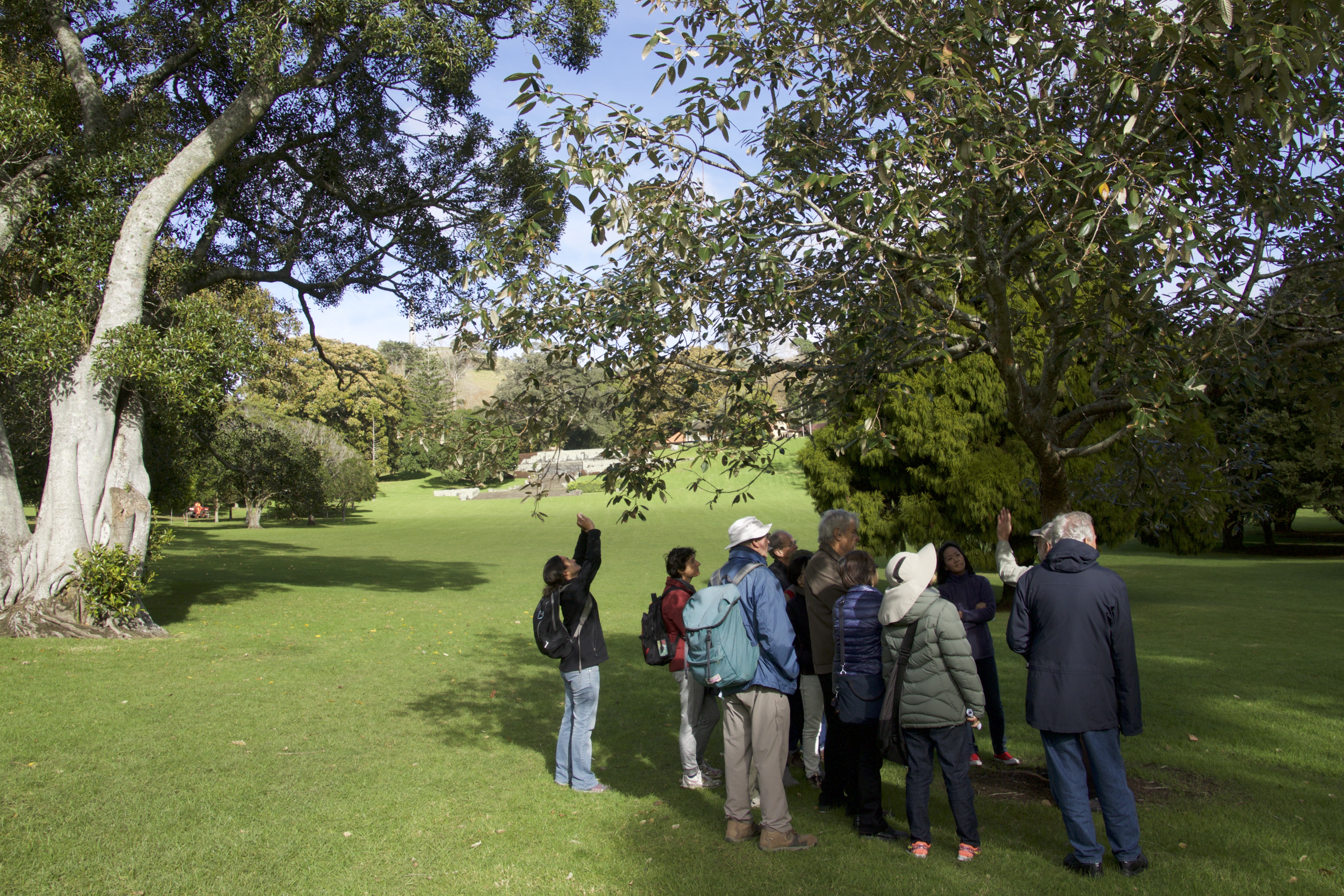 TreeWalk_Walk_2016-4.jpg#asset:2705