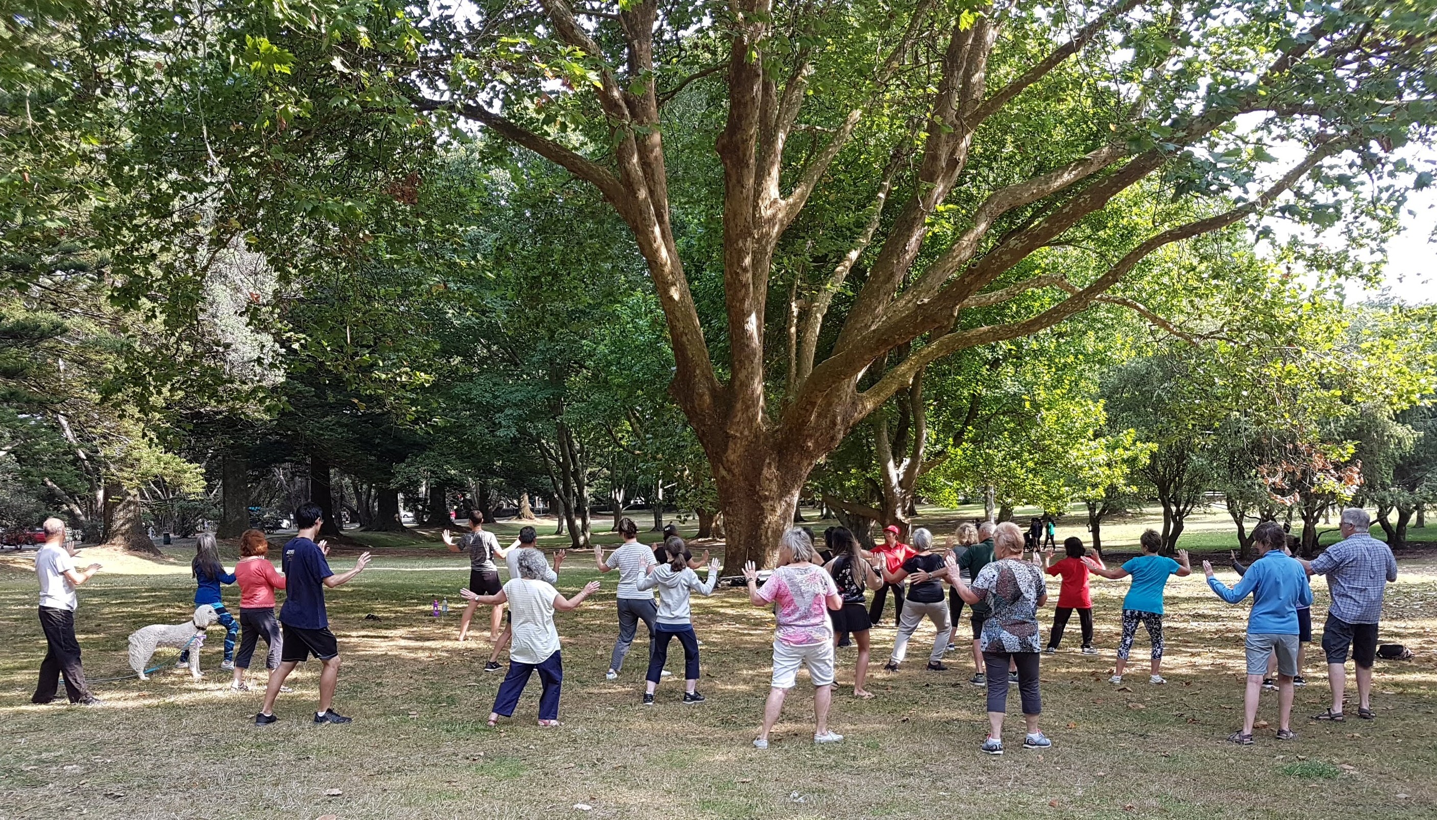 TaiChi_EasternArea_PohutukawaDrive_2020-1.jpg#asset:2480