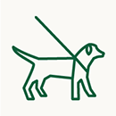 Dogs