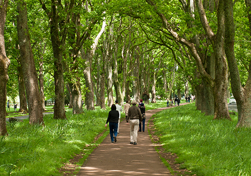 Cornwall Park is your urban oasis, rich with history, nature, farm-life and places to explore. Come discover today.