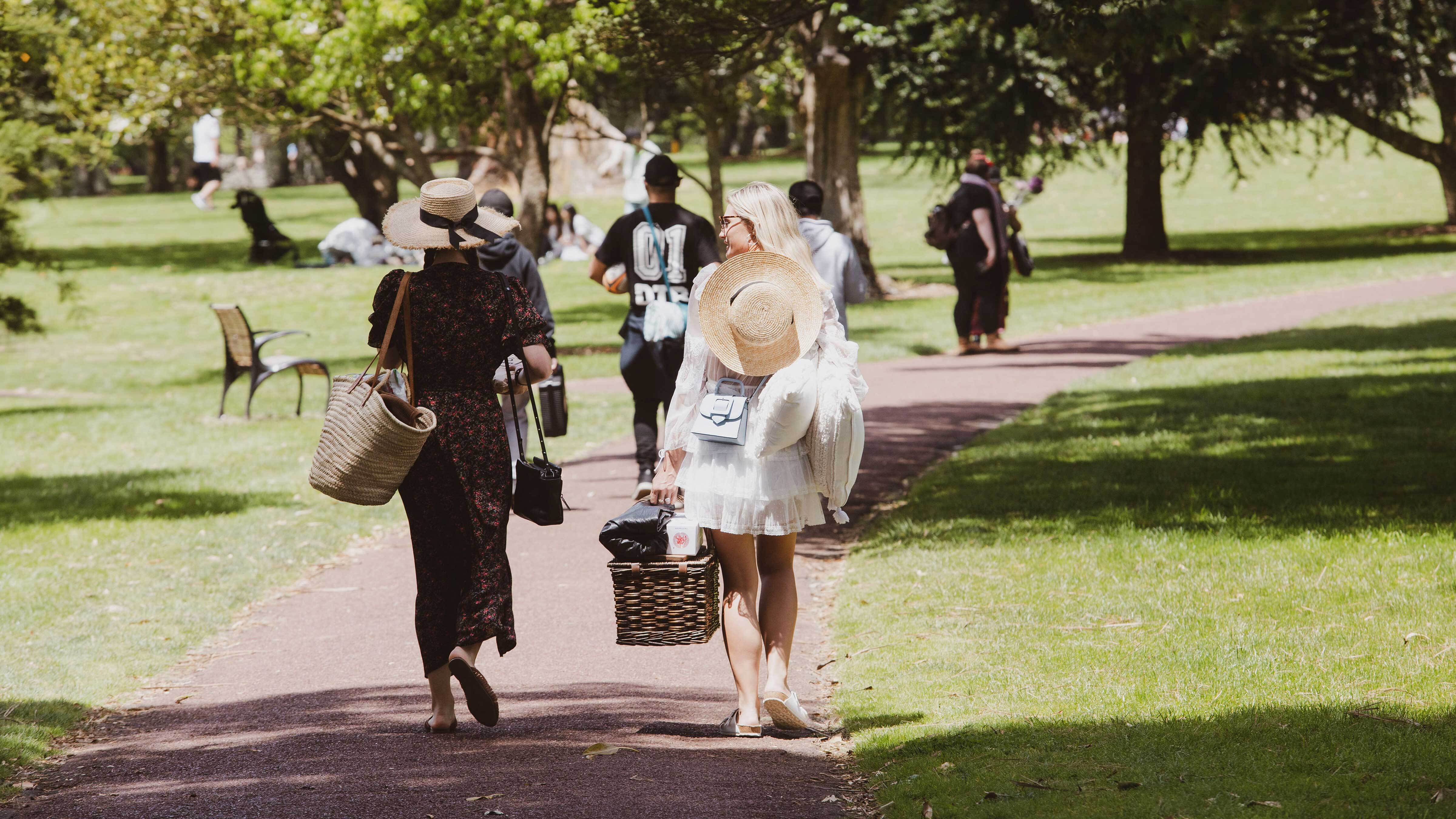 Cornwall Park BBQs & picnics See & Do Cornwall Park