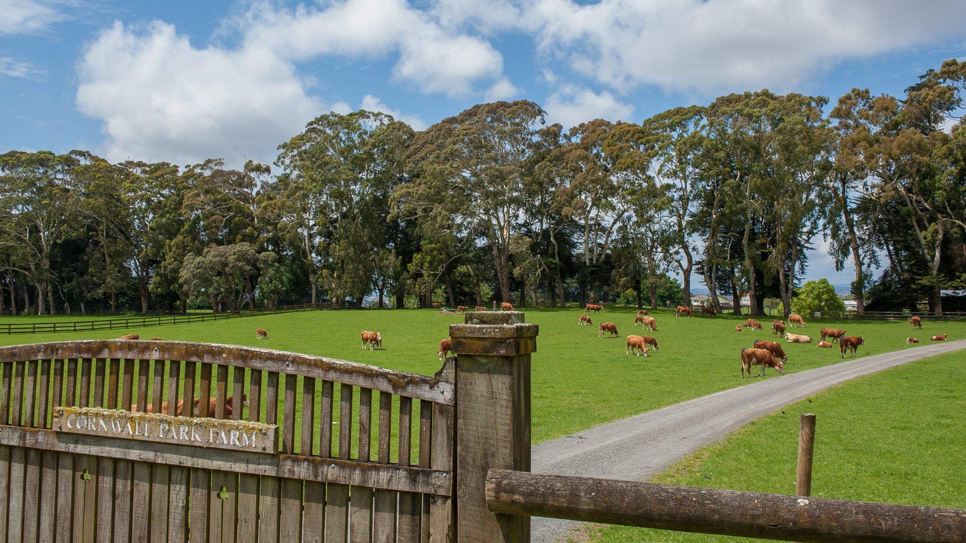 Cornwall Park farm gate, 2017. Cornwall Park Trust.