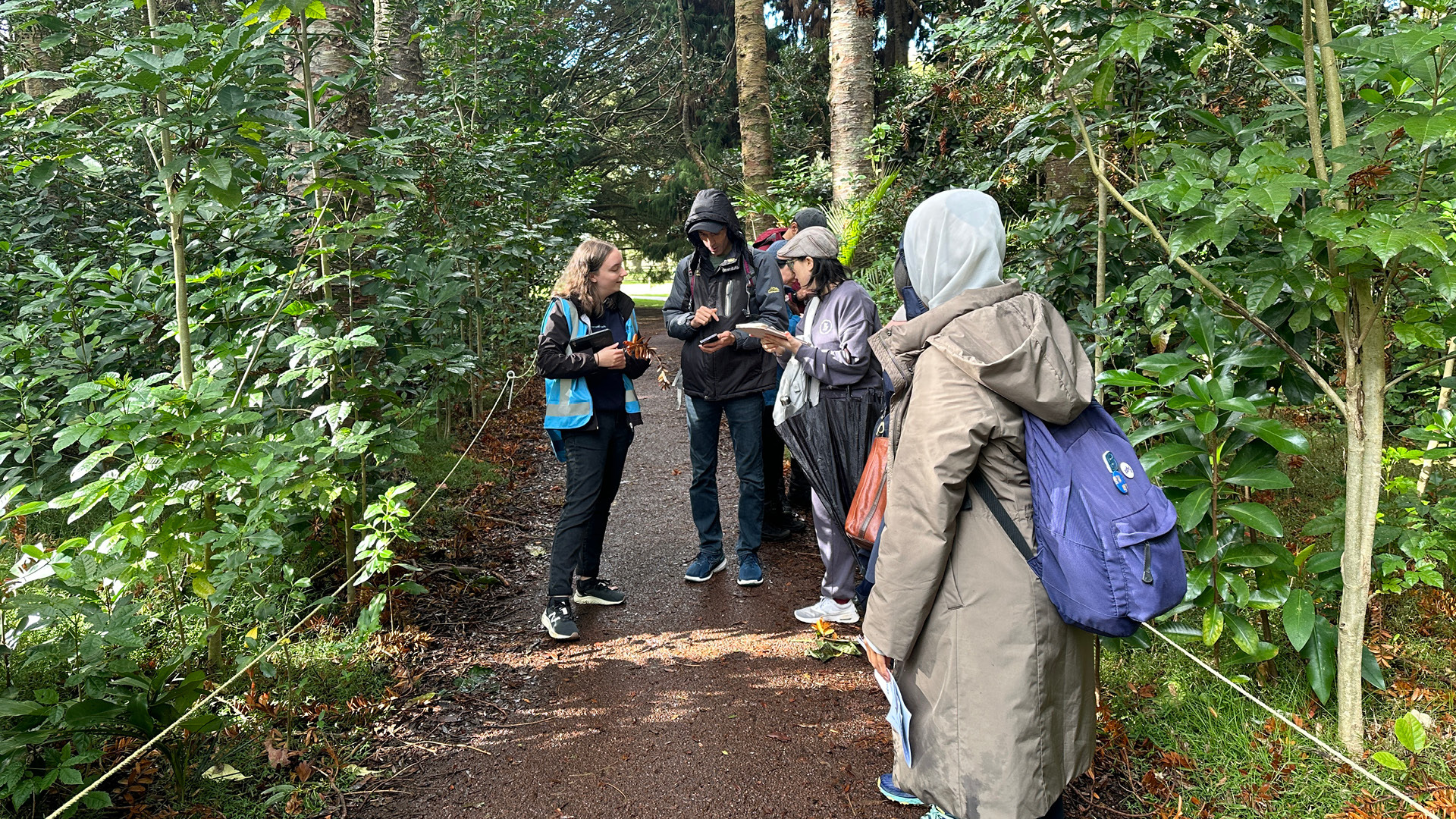 Guided Walk: Ecology Identification