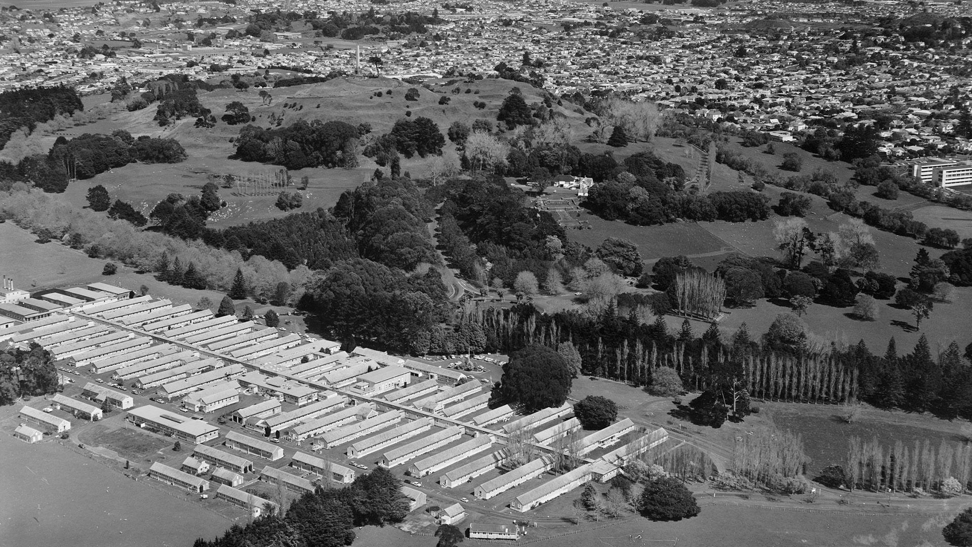 Guided Walk: Hospital Heritage