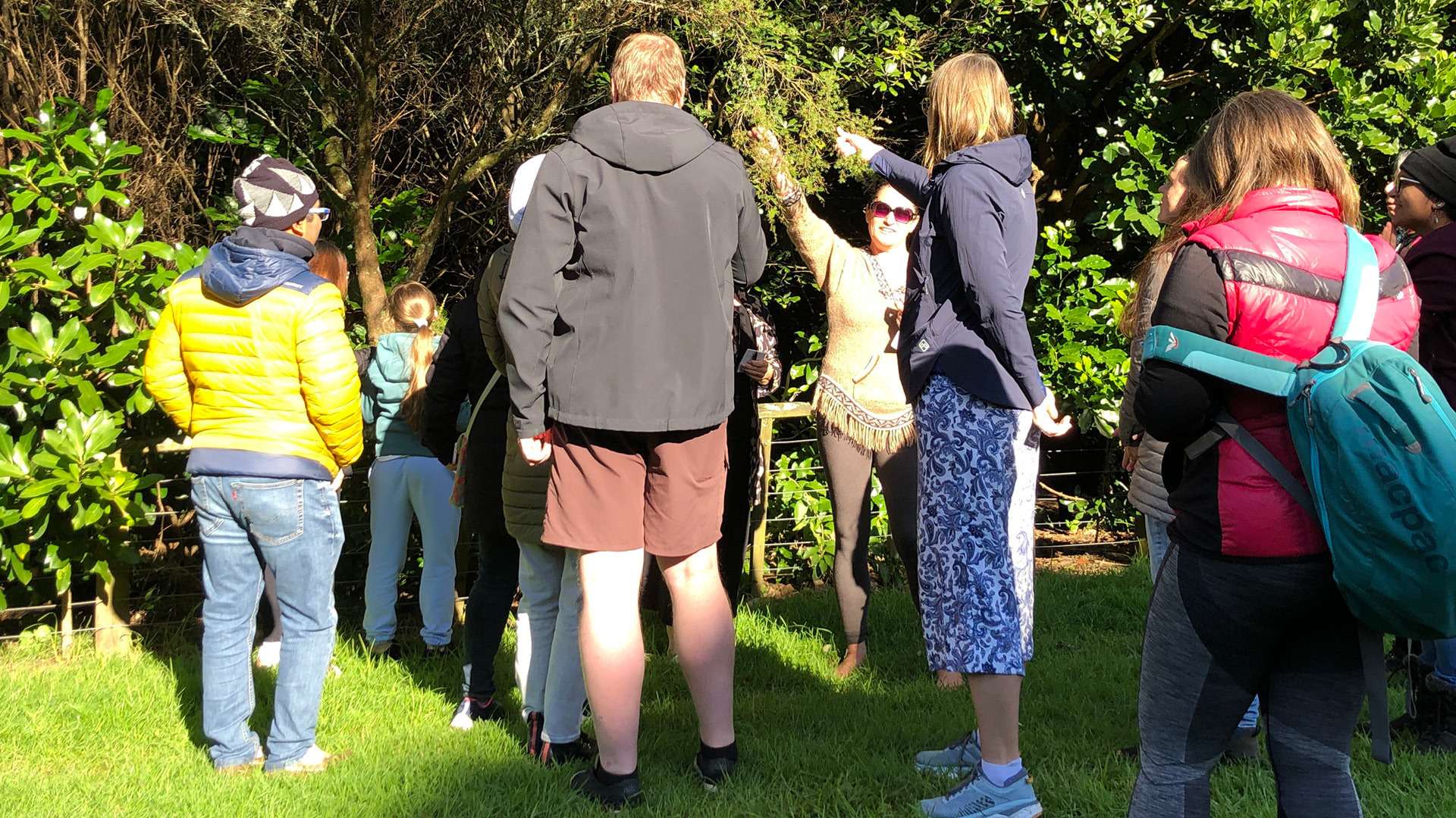 Guided Walk: Rongōa Māori