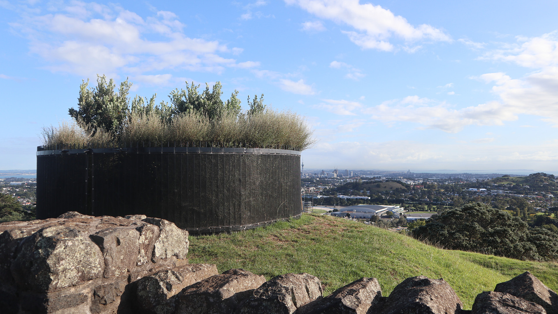 The summit of Maungakiekie One Tree Hill, featuring three tōtara and six pōhutukawa saplings