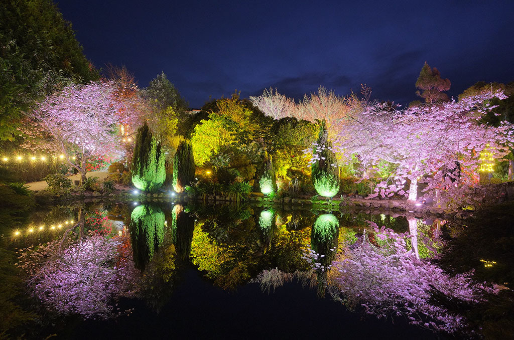 Aston Norwood Gardens